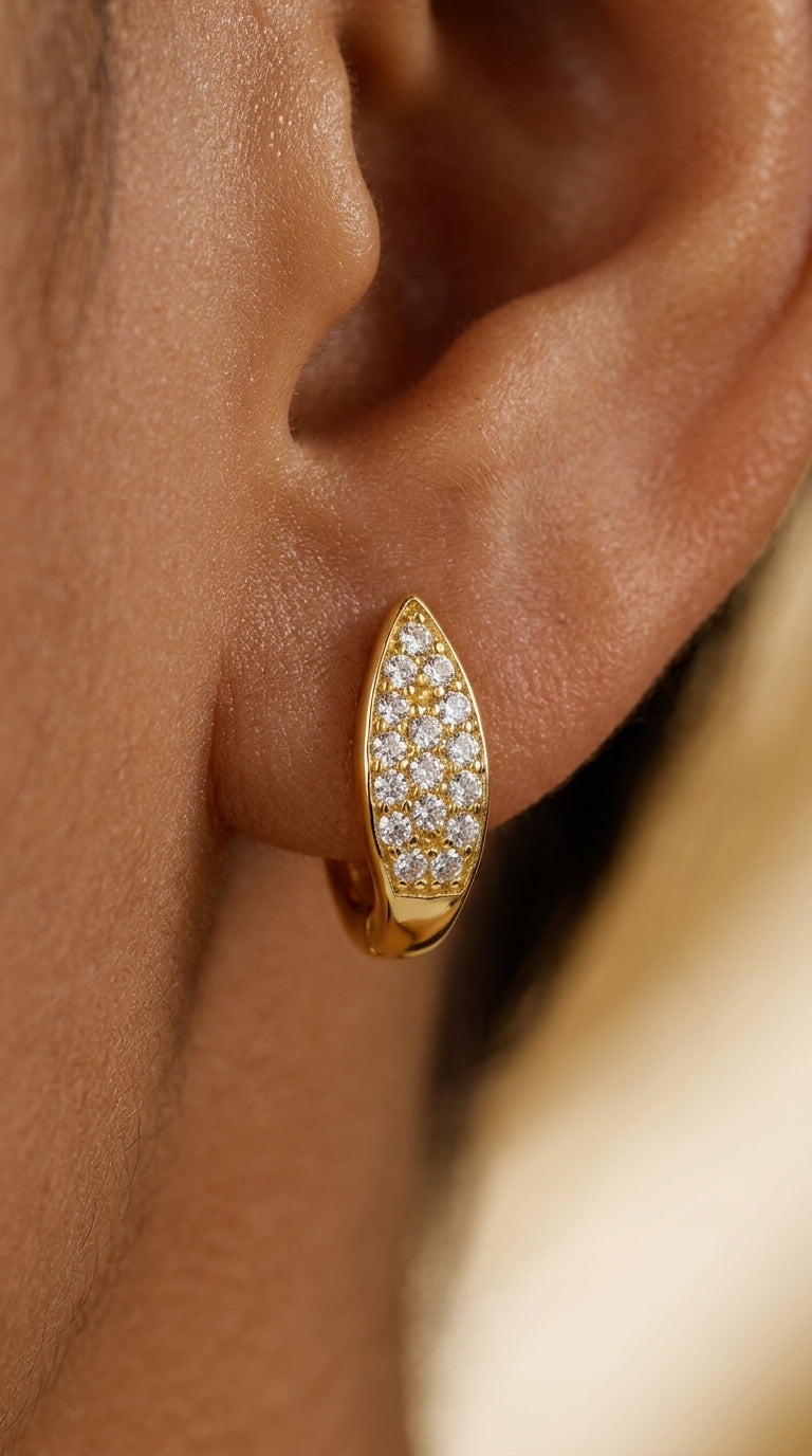 Aretes de Diseño de Hoja en Plata 925 con Circonia